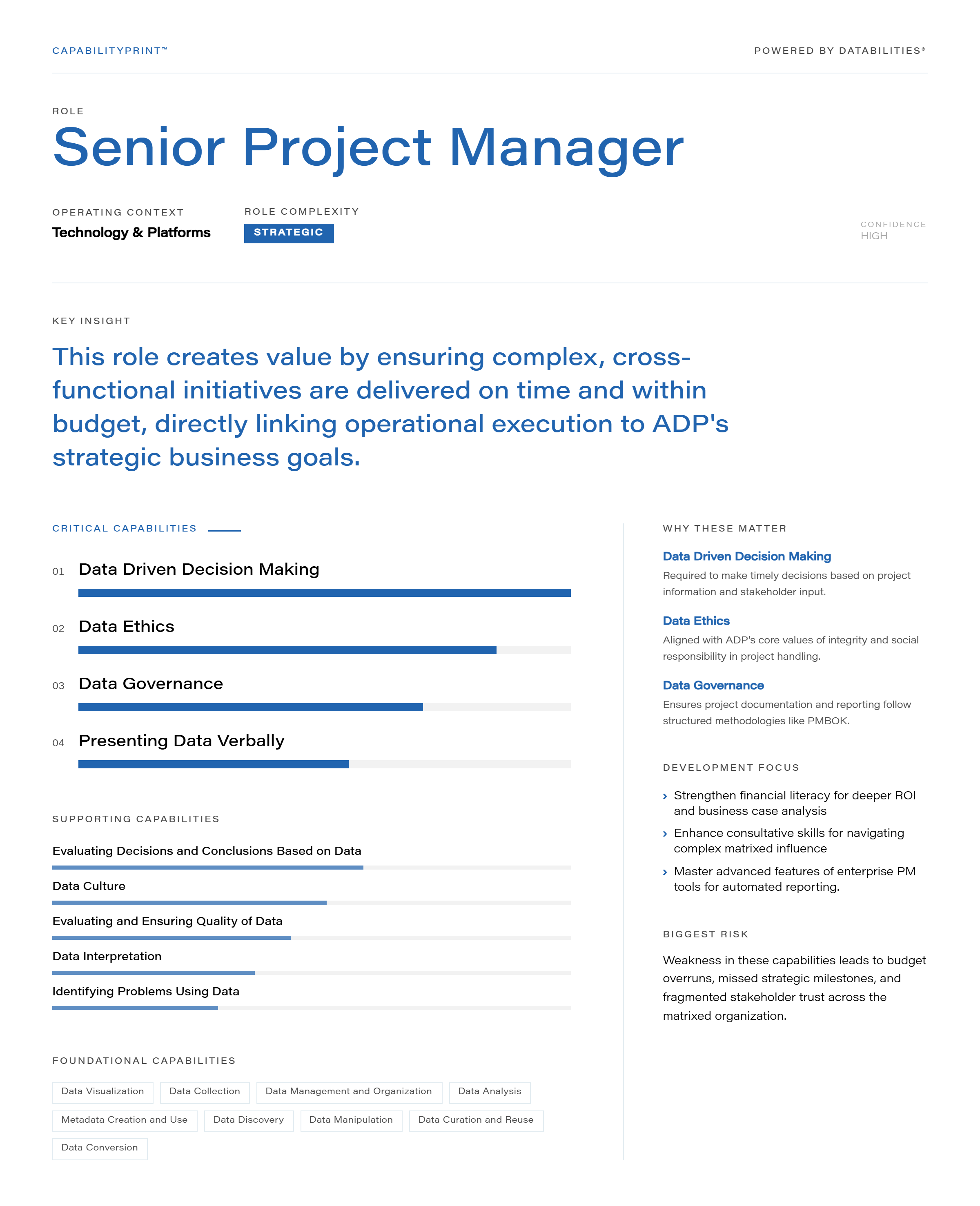 Senior Project Manager